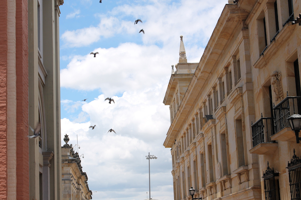 Bogota-Candelaria-Downtown-Street-Birds