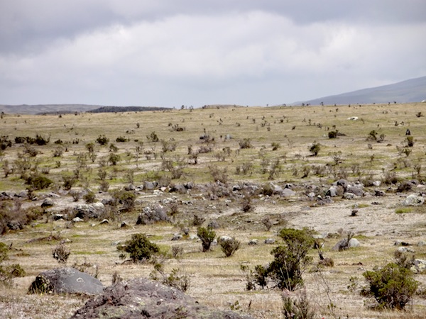 cotopaxi-national-park-2
