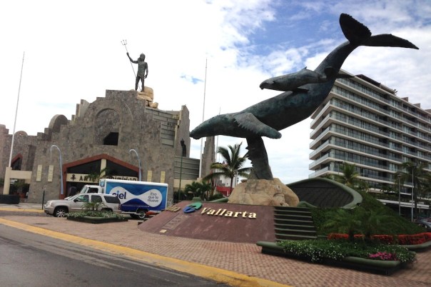 puerto-vallarta-whale