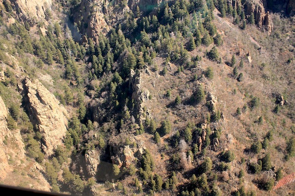 albuquerque-23-sandia-mountain-trees