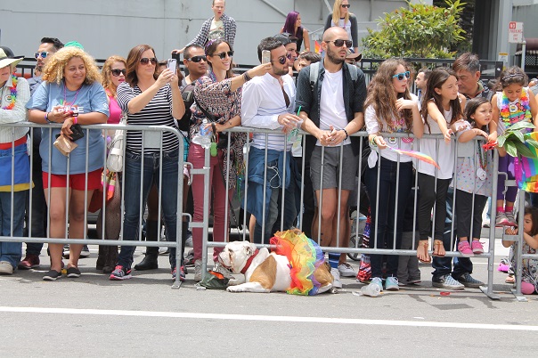 san-francisco-lgbt-pride-2015-18-parade