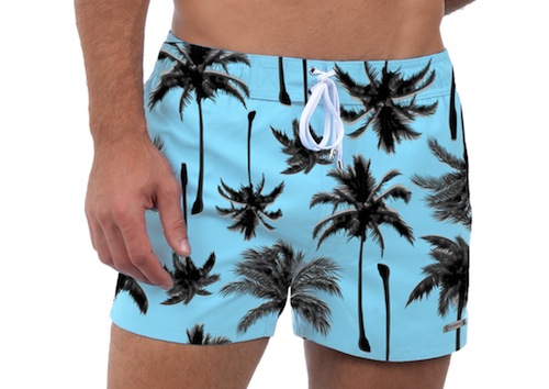 2xist-palm-print-ibiza-swim-short