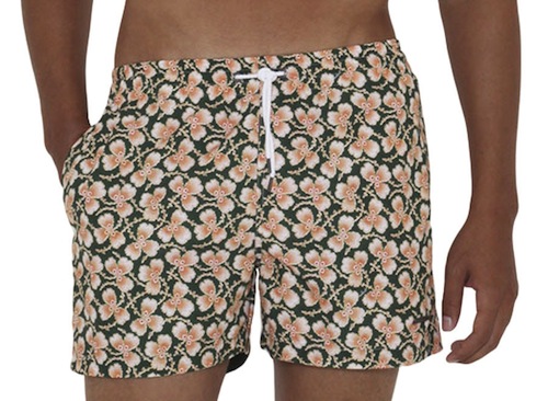 parke-ronen-4-printed-retro-boardshort
